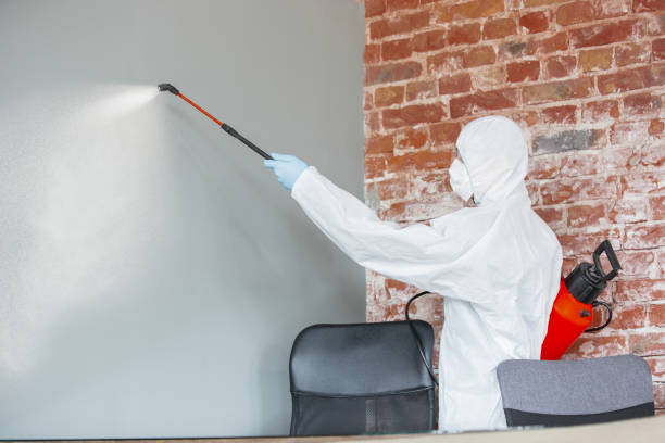 Best Comprehensive Air Testing for Mold Contaminants  in Columbiana, AL