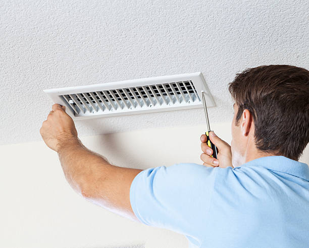 Best Black Mold Removal  in Columbiana, AL