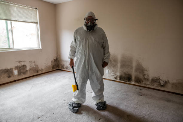 Best Basement Mold Removal  in Columbiana, AL