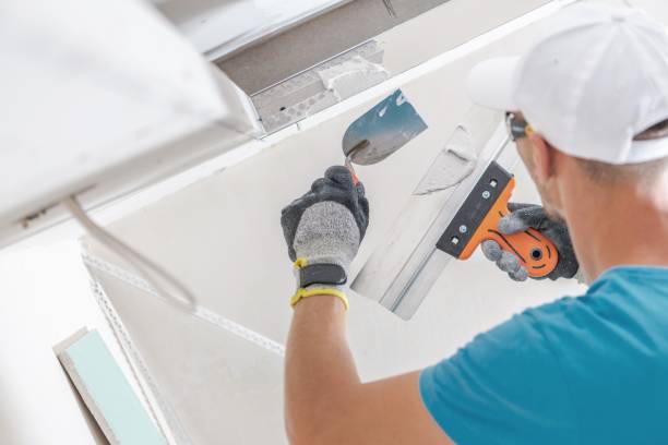 Best Mold Documentation for Insurance Claims  in Columbiana, AL